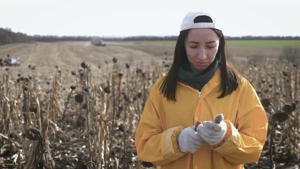 Young Woman Farmer Standing on Corn Field During Harvesting. Girl Takes Ripe Corn for Checking