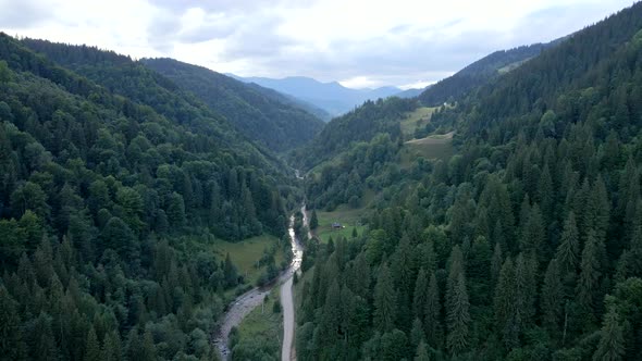 Aerial View of Carpathian River in Forest