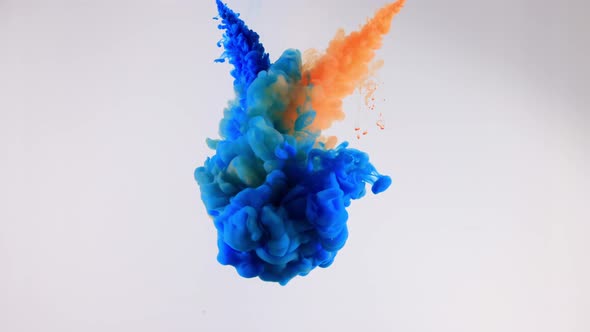 Ink Water Drops  Smoke Background  Drop Color Explosion Logo Reveal 19