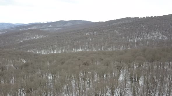 Sabaduri Mountain, Frozen forest, Georgia