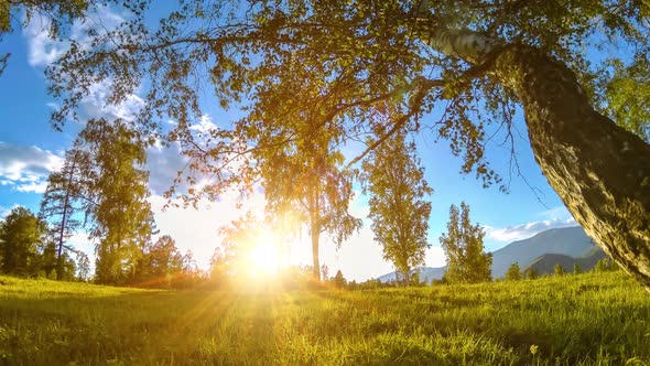 Mountain Meadow Timelapse at the Summer or Autumn Time