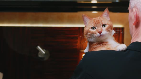 Ginger cat on the shoulder of a butler