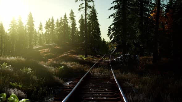 Autumn Colours Along a Railway Track at Sunset