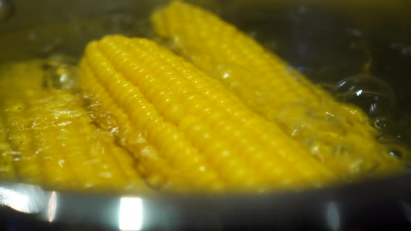 Revealing Closeup of Sweet Yellow Corn Boiled in Hot Water