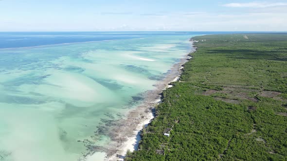 Shore of Zanzibar Island Tanzania at Low Tide