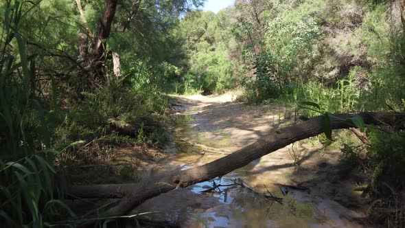 A muddy rainwater runoff makes its way to Giant's Cauldron near Alicante, Spain - forward dolly alon