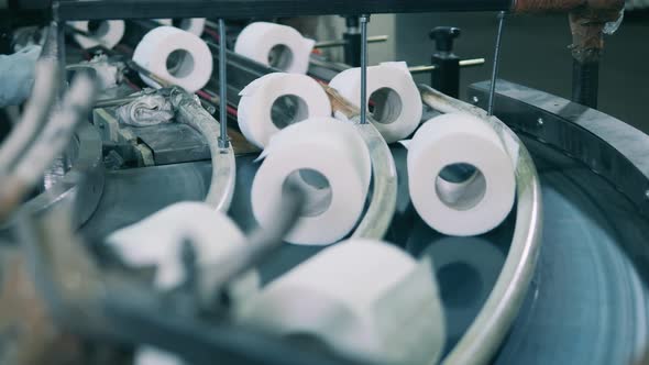 Automatic Toilet Paper Production Line at a Paper Mill