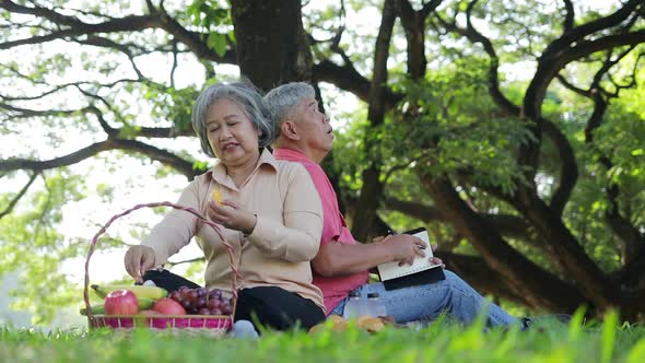 Asian elderly couple picnic in the park