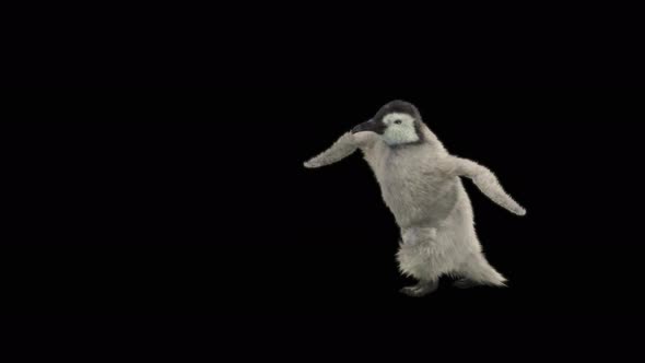 Penguin Dancing 4K