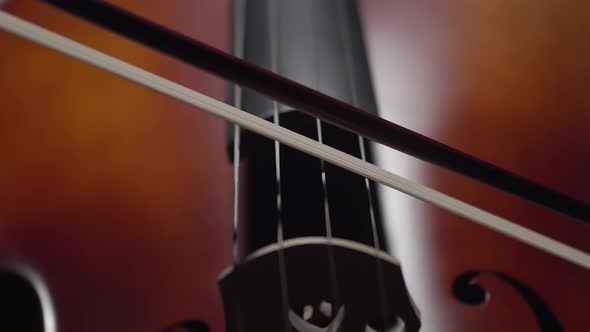 Artist Plays with Bow on Strings of the Cello Closeup
