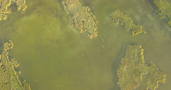 Aerial View of Tuzly Estuary National Nature Park Near By Black Sea Coast, Ukraine