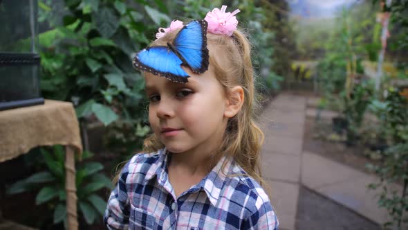 On the Head of the Girl Sits a Beautiful Blue Butterfly