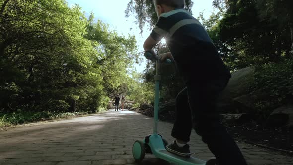 Little Boy Rides Scooter in the Park on Sunny Day