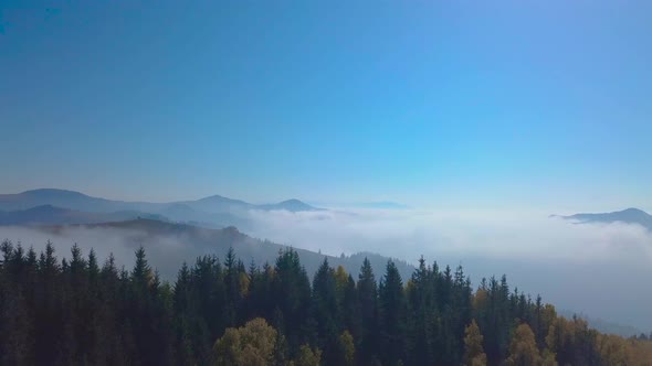 Flying in the Mountains Above the Morning Misty Forest