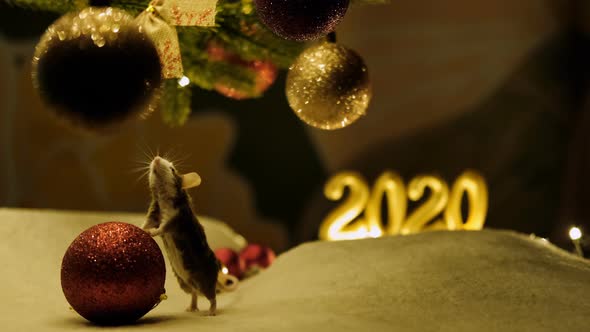 Curious gray mouse touches a large red Christmas ball.