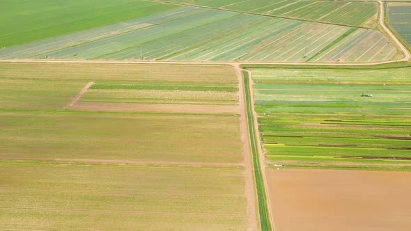 Agricultural Land with Green Crops From Above