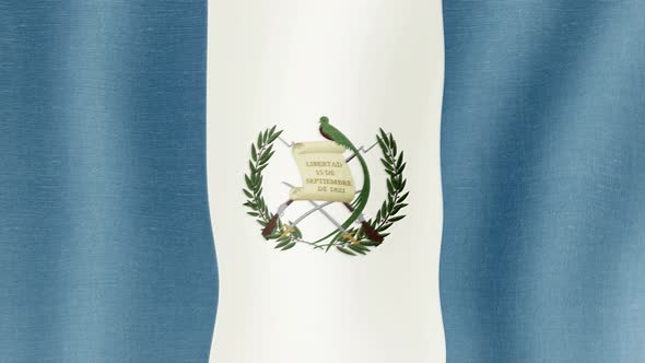 The National Flag of Guatemala alt