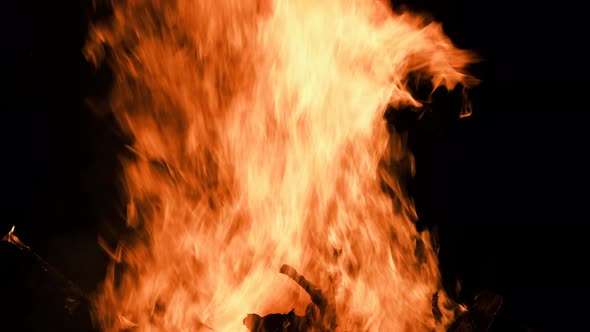 Big Bonfire Burns at Night on a Black Background