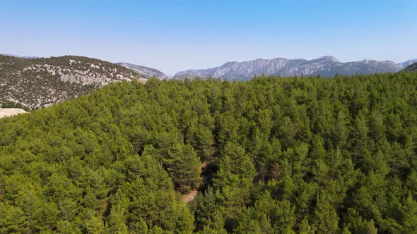 Drone flight over green hills and a mountain road along which cars drive against the background of m