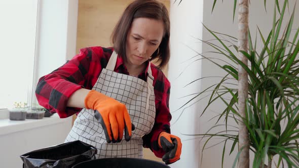 A Woman Florist Puts Soil Into a Pot for Transplanting a Flower