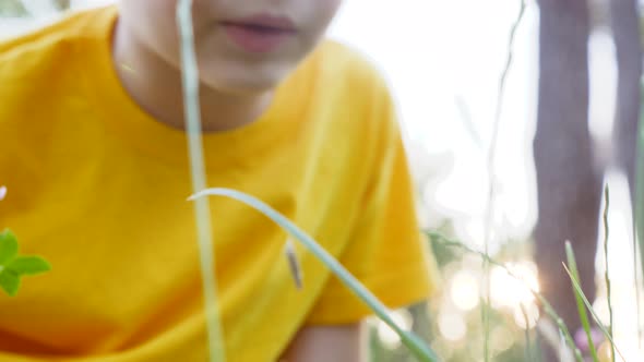 Preschooler Exploring the Nature with Help of Magnifying Glass. Human and Nature. Curious Boy