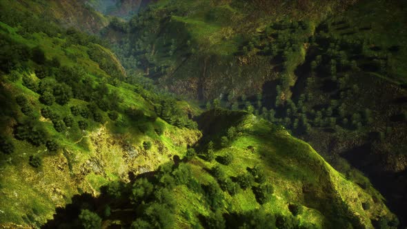 Tropical Forest in Morning View of Highland Malaysia