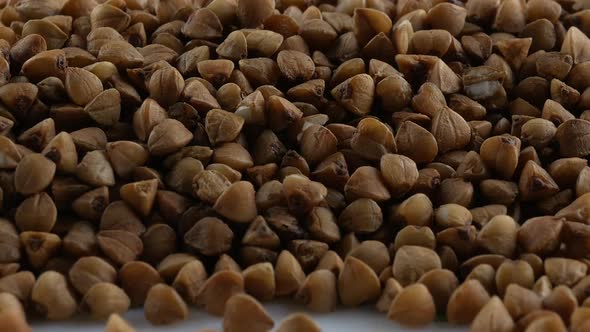 buckwheat. fresh buckwheat. dry buckwheat background. buckwheat texture