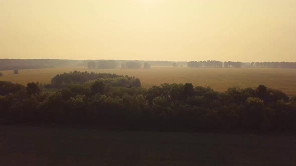 Aerial: Flying Over Beautiful Fields. Also Visible: Fog, Agriculture, Road, Forest