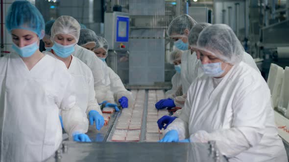 Packaging Process of Fish Snacks Carried Out By Female Food Factory Workers