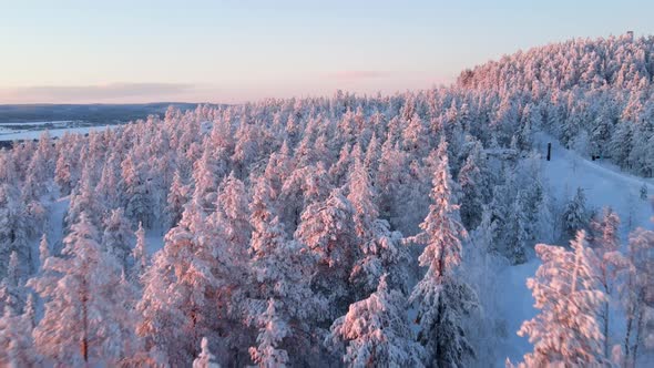 Aerial view of a forest in winter in Overtornea, Sweden. alt