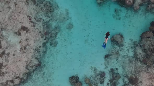 Aerial video of a girl exploring a tropical coral reef while snorkelling