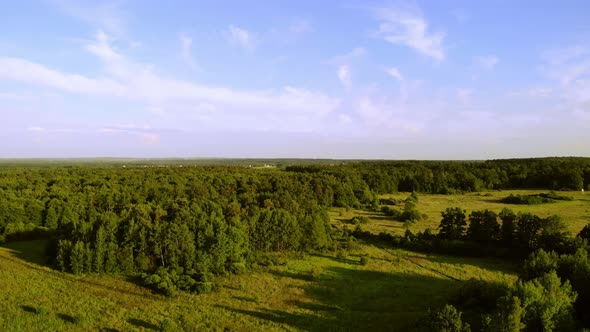 A forest area in the rays of the evening sun.