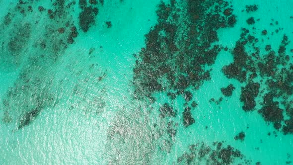 Aerial view abstract of tropical shore beach adventure by blue green sea with bright sandy backgroun