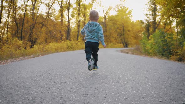 Happy Baby Boy Running in Autumnal Park. Little Child Playing on Autumn Walk. Autumnal Forest with