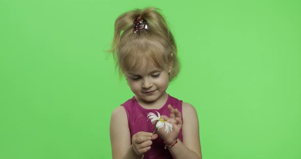 Girl Holds Chamomile Flower and Tells Something. Happy Little Child. Chroma Key