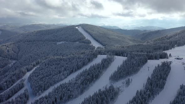 Aerial View on Forest and Mountains in The Winter Time