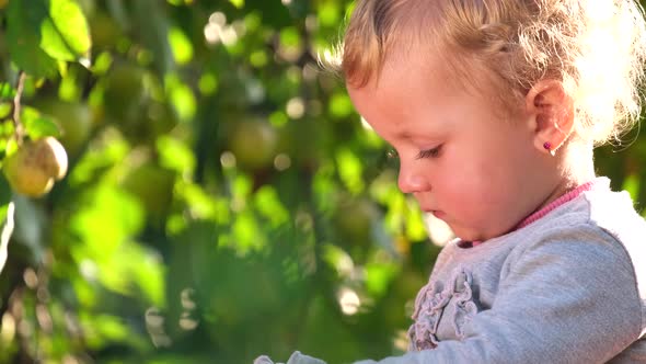 Little Girl with Blond Hair Resting in the Garden a Child Outdoors Near an Apple Tree