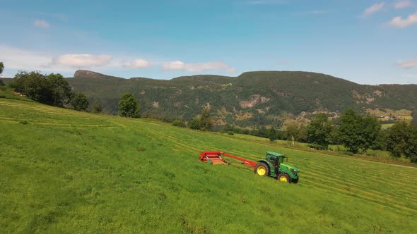 Forage Harvester Machinery Working And Making Windrow For Silage In Rural Fields At Hjelmeland In No