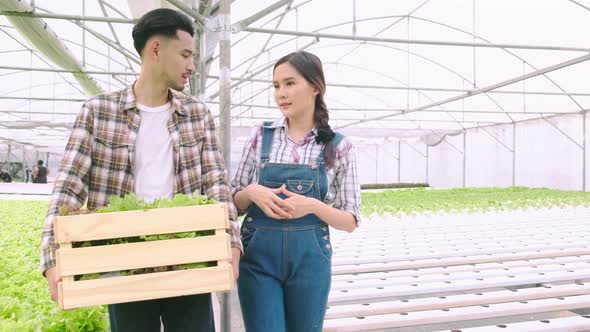 handheld asian couple farmer takecare and discuss how to growth plant in hydroponic farm