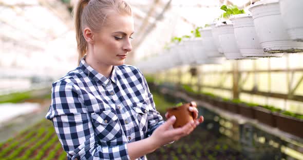 Young Female Botanist Examining Potted Plant