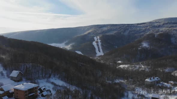 Wonderful Views of Trees Mountains Covered with Snow