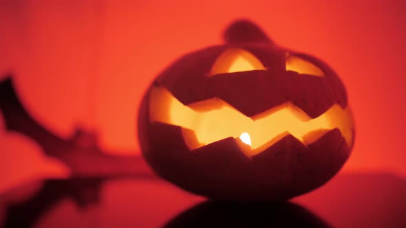 sinister pumpkins on Halloween, bat in the background