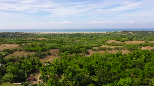 Beautiful Landscape with Trees and Sea in the Distance, Aerial View
