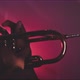 Close up details of trumpeter playing in a room with bright magenta neon lights - VideoHive Item for Sale