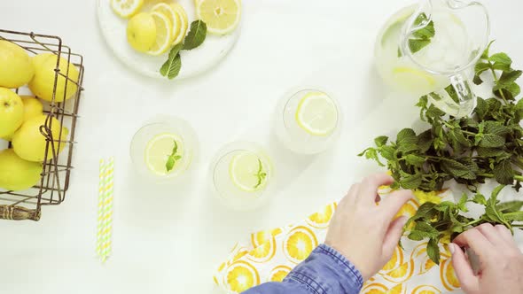 Step by step. Garnishing traditional fresh lemonade with lemon slices and mint