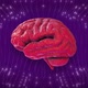 Retro Brain - VideoHive Item for Sale