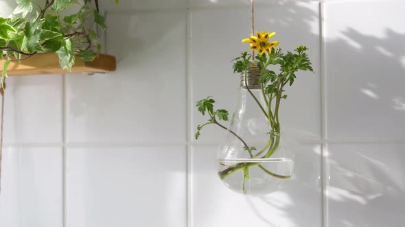 Hanging glass pot with plant and flowers against white tile wall