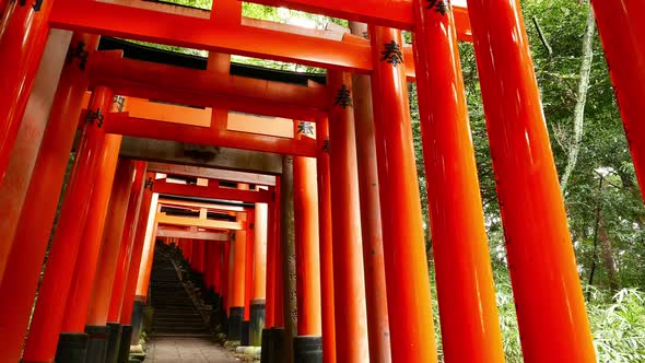 Torii gates glide in Kyoto