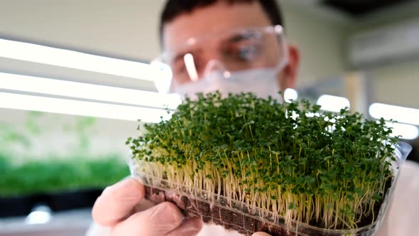 Scientist in Gloves and Mask Studying Microgreens in Laboratory
