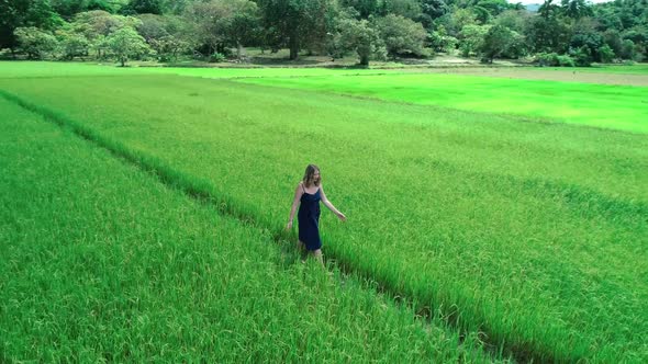 Aerial Drone Footage of Blond Girl in Blue Dress Walking Along the Rice Fields in El Nido